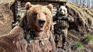 Влог Косолапого #13 «Новый Компаньон»