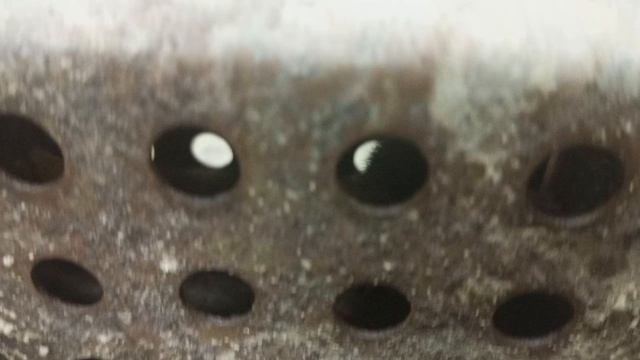 Пленник. Вторая ходка