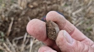 [RUS] Снайперская Катушка Minelab Equinox - Сокровище Где-То Там