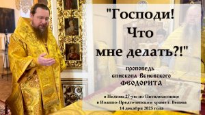 "Господи! Что мне делать?". Епископ Венёвский Феодорит.