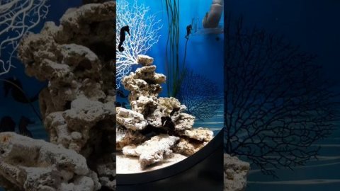 Москвариум с детьми, декабрь 2025