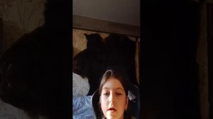 как живёт мой кот