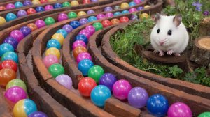 ЗАЛИПАТЕЛЬНЫЕ МУЛЬТИКИ ДЛЯ ДЕТЕЙ | ЗАЛИПАТЕЛЬНЫЕ ВИДЕО | ДЕТЯМ | МУЛЬТИКИ