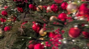 Троянская Москва 14.12.25