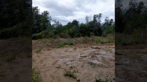 Часть 1.Купили участок