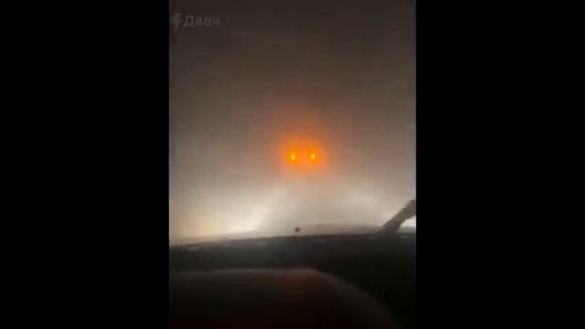 Видео от Аварийка LIVE | ДТП и ЧП России