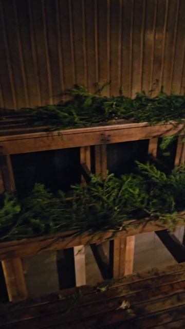 Банное царство смотреть онлайн