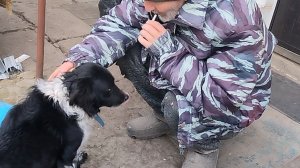 Ругаю Рюшку, а ему по барабану. Рушим стены топором. Жизнь станичная на пенсии.