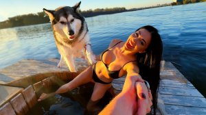 ✅ ПРИКОЛЫ ПРО ЖИВОТНЫХ 2025 — СМЕШНЫЕ КОТЫ И СОБАКИ, РЖАКА ДО СЛЁЗ 😂