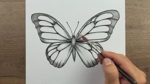 Как шаг за шагом нарисовать красивую бабочку карандашом — пошаговое руководство по рисованию