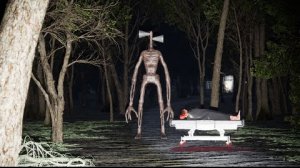 Он существует. Сиреноголовый