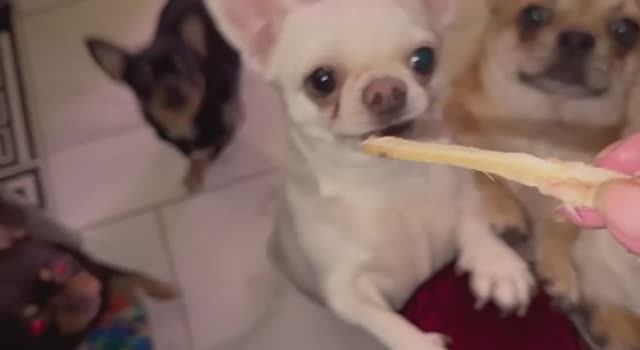 Немного полакомились малыши.