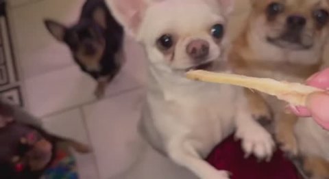 Немного полакомились малыши.