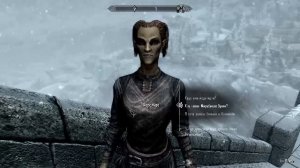 Прохождение игры The Elder Scrolls V: Skyrim Special Edition (Стрим) в 2025 # 49