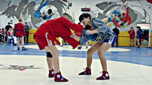 Московский областной турнир по самбо, приуроченный «Всероссийскому дню самбо»