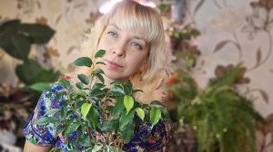 Как помочь своим растениям в зимний период