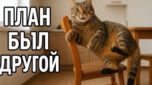 Смех до слёз: лучшие приколы №221