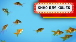 Видео для Кошек - Золотые рыбки в аквариуме (Развлеки своего кота)