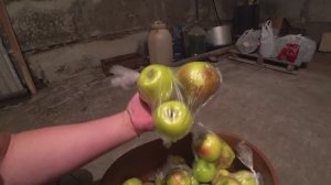 Отчет по хранению яблок