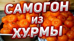 САМОГОН ИЗ ХУРМЫ неожиданно очень вкусно получилось