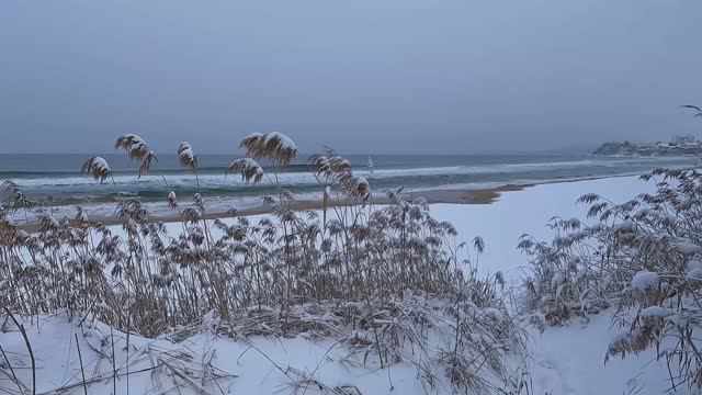 п. Южно-Морской.  ЗИМА  - 14.12.2025г.  [ 4K ]