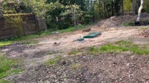 Серия 6. Купили дом. Осенние работы в саду и мысли о будущем.