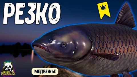 Просто берут и резко тянут #рр4