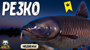 Просто берут и резко тянут #рр4