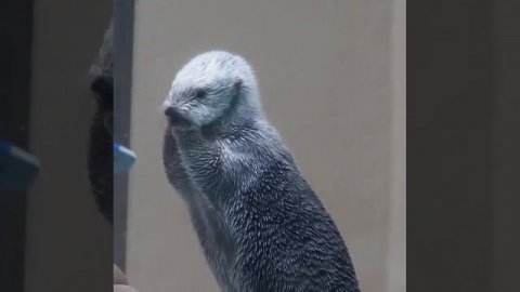 Измерение температуры.