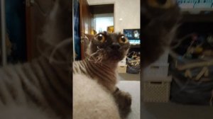 Ох эти 8 летки..