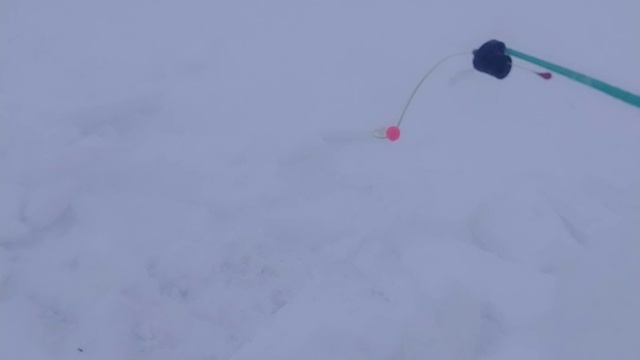 Рыбалка на окуня 13 декабря. 3 серия