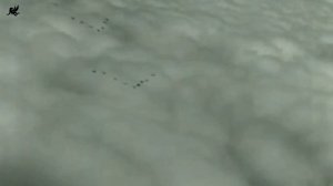 Ангелы Ада.