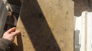 Морозы пчёлы ужались.