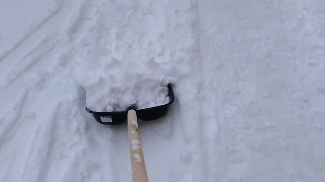 2025 НОЯБРЬ прогулка, свежий воздух