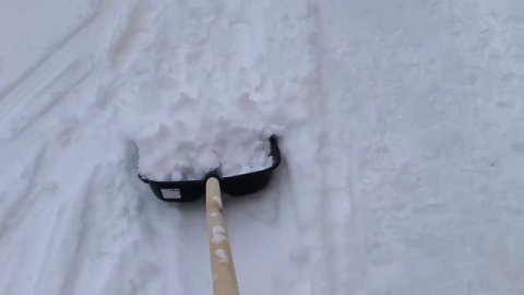 2025 НОЯБРЬ прогулка, свежий воздух