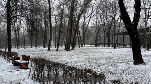 В Московском регионе в начале недели ожидаются холода.