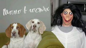 Момо и страшилки