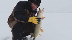 С другом на Сугояке гоняем щупаков. 14.12.2025