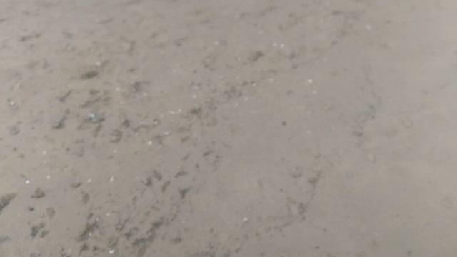 Выброс мазута Анапа 14 декабря