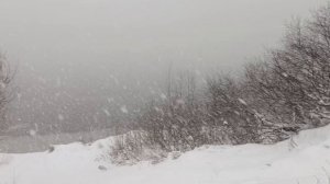 Ока заметеленная 14.12.2025