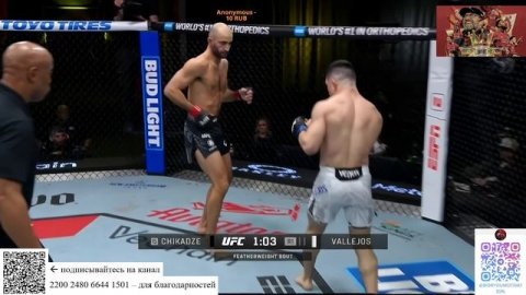 Чикадзе -Валлехос UFC Ройвал - Капе