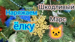 Наряжаем ЁЛКУ, коты разбирают 😅/Новогодняя традиция из ДЕТСТВА/Шкодливый МАРС