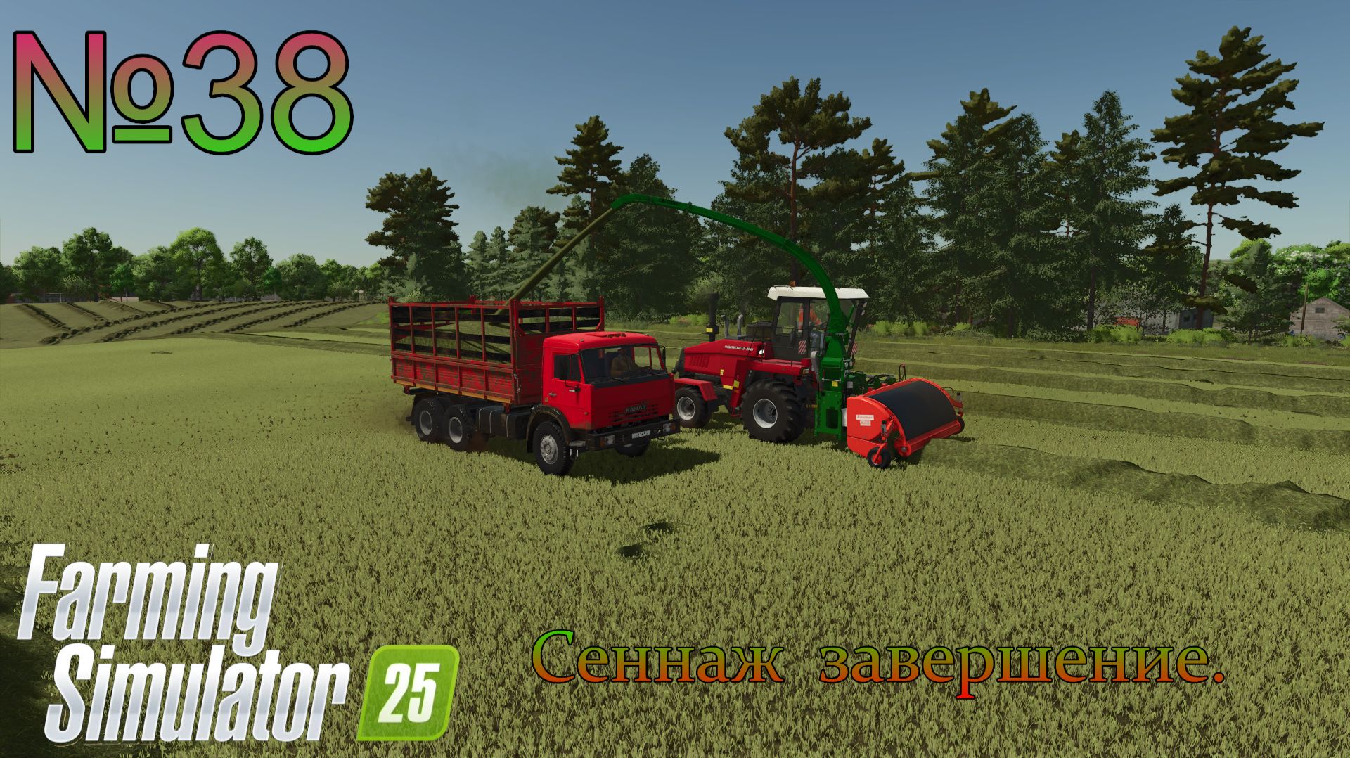 FS 25 x38 Журавлёво Заканчиваю заготовку сена.