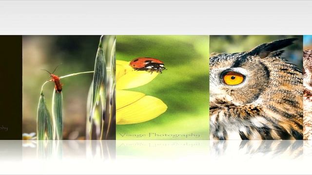 Ян Лещенко - Океан