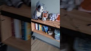 даказываю стеша привет что это моя космитичка