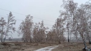 Ледяная красота❄️❄️