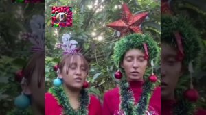 Две мои последние нервные клетки пытаются поймать новогоднее настроение