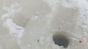 первый выход на лёд, на маленькую уху на ловил+34