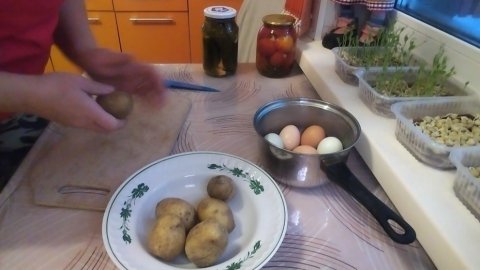 14-12-2025 Оливье для фотосессии / почистили у коз / сбор яиц