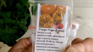 Томаты из серии Гномы. Сорта, которые буду выращивать в 2026